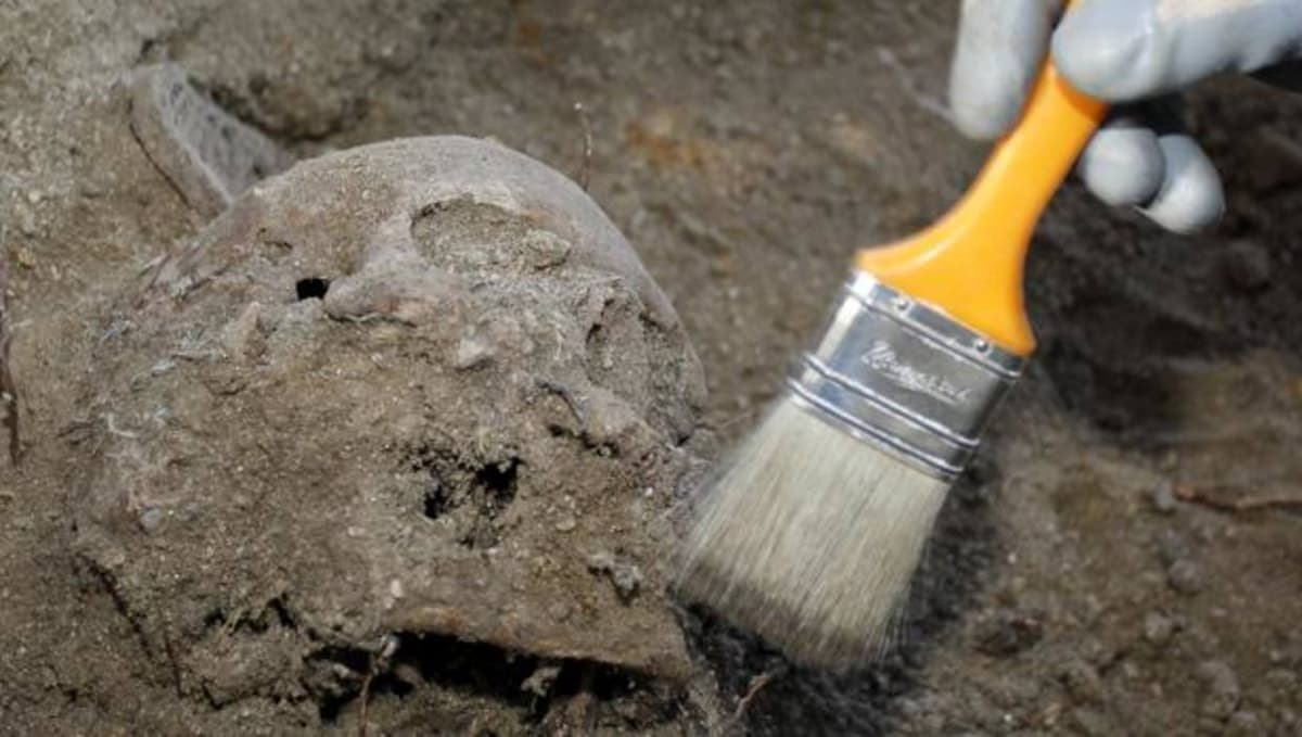 Hombre encontró los restos del ex marido de su esposa en su jardín