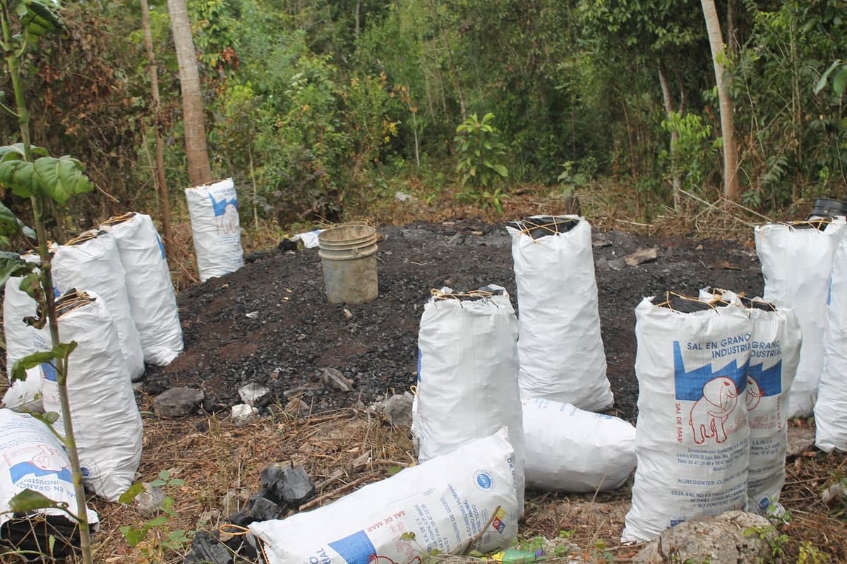 Productores de carbón denuncian hostigamiento de las autoridades