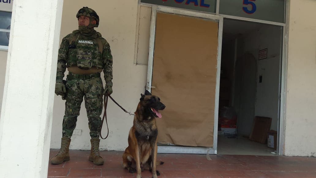 Autoridades de Cozumel se hacen "de la vista gorda" en el cruce de drogas