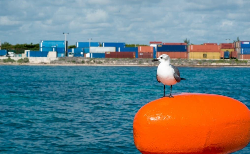 Puerto Morelos iguala a Progreso en servicios de carga
