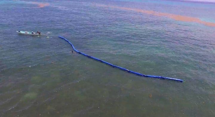 Arranca la instalación de la barrera antisargazo en Playa del Carmen