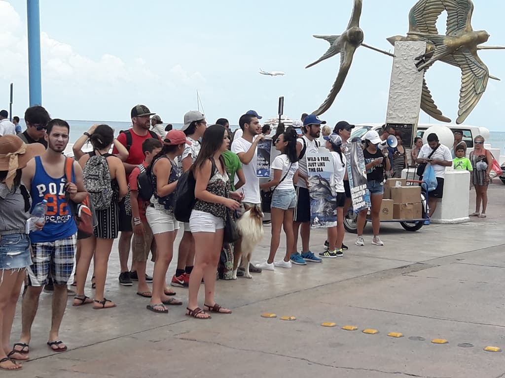 Protestan en Cozumel contra la explotación de delfines
