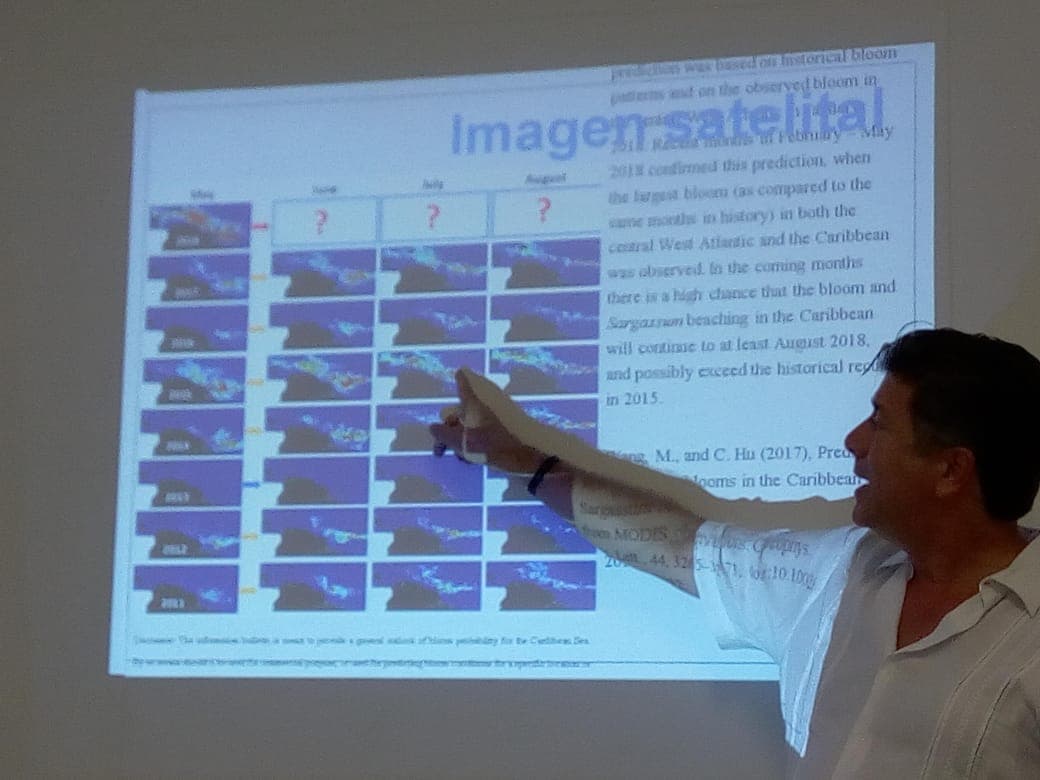 Anticipan llegada masiva de sargazo a través de imágenes satelitales