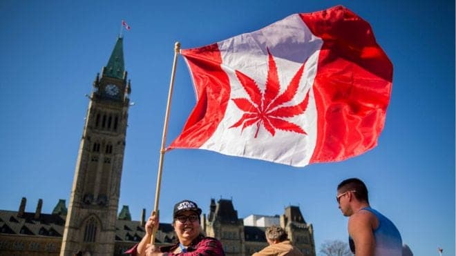 Canadá será el primer país del G-7 en legalizar la marihuana recreativa
