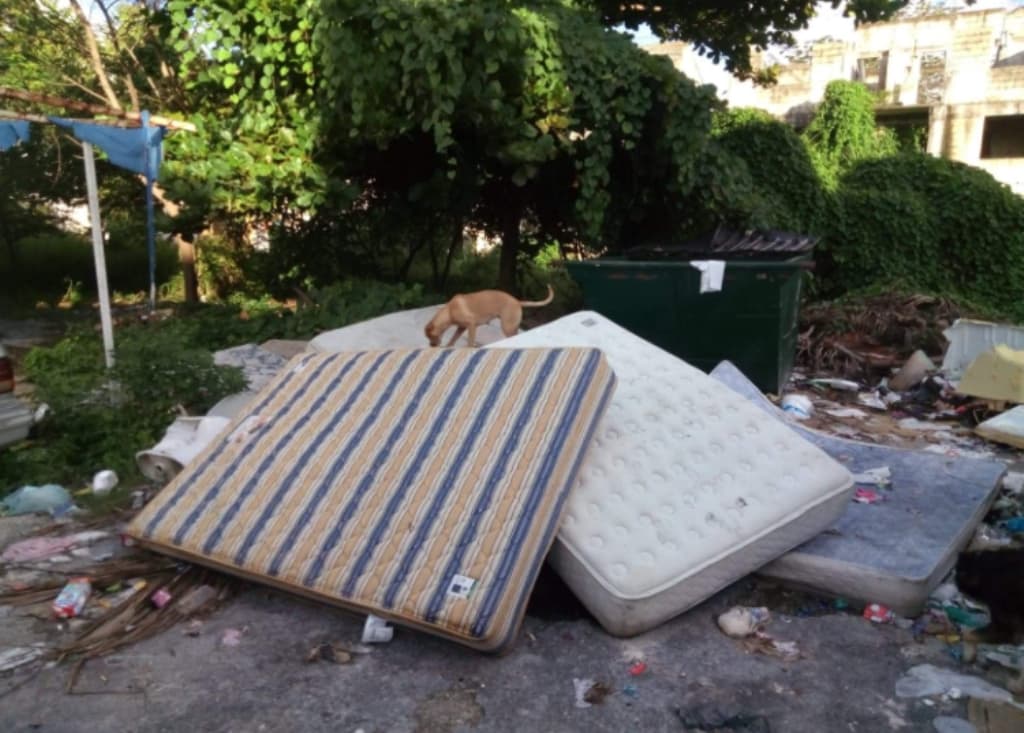 Vecinos de Cozumel vivirán en un basurero hasta la siguiente administración