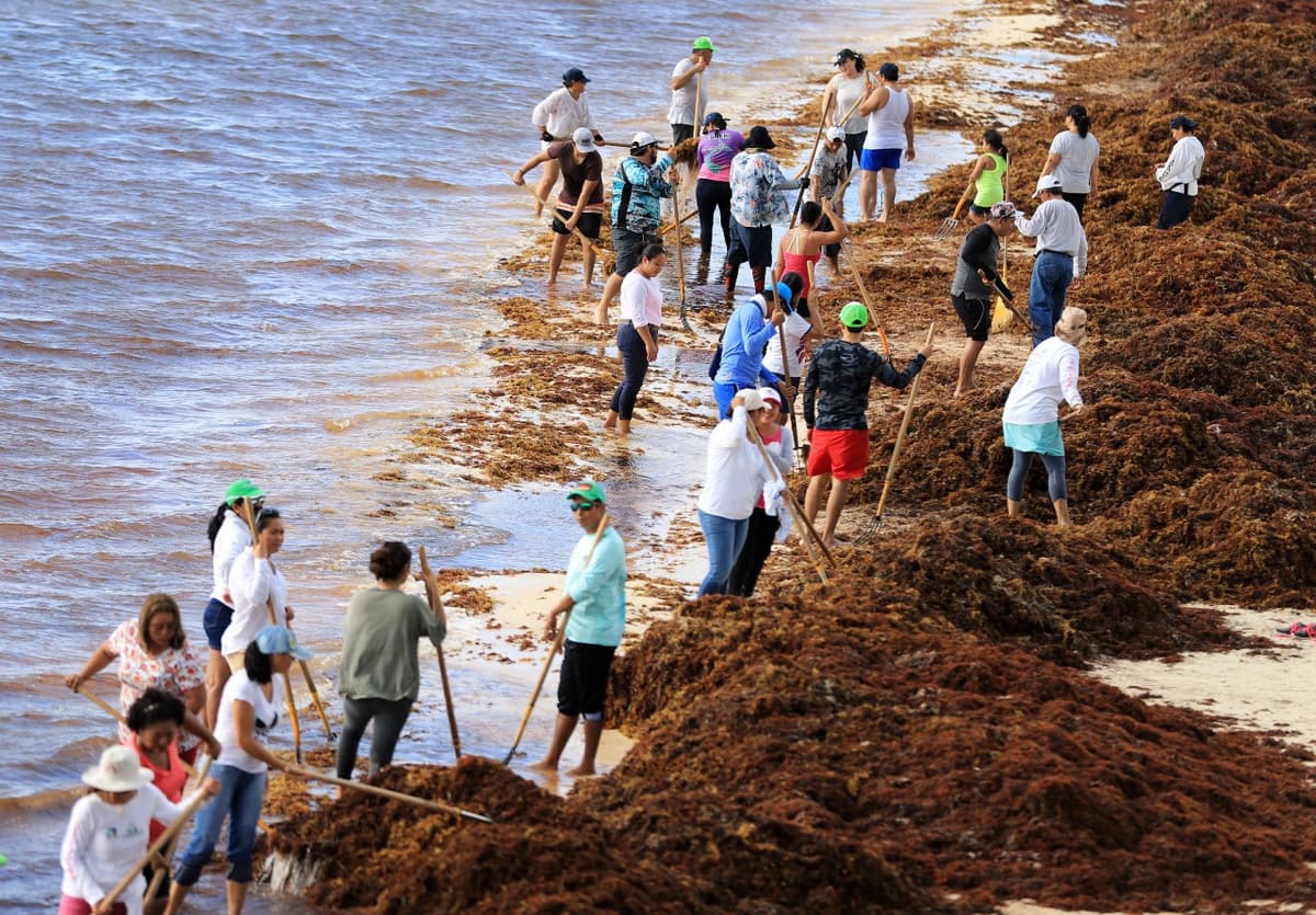 No hay aumento de impuestos en Puerto Morelos, afirma Laura Fernández