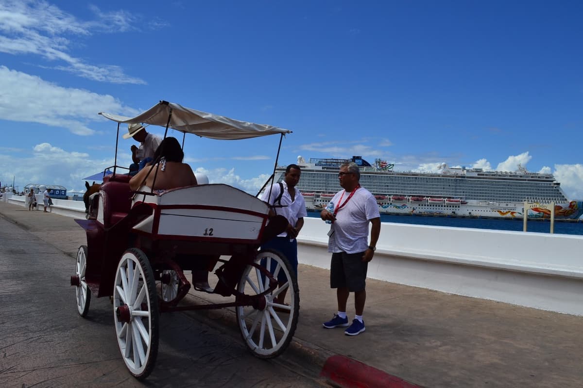 Advierten que caleseros de Cozumel deberían someterse a antidoping