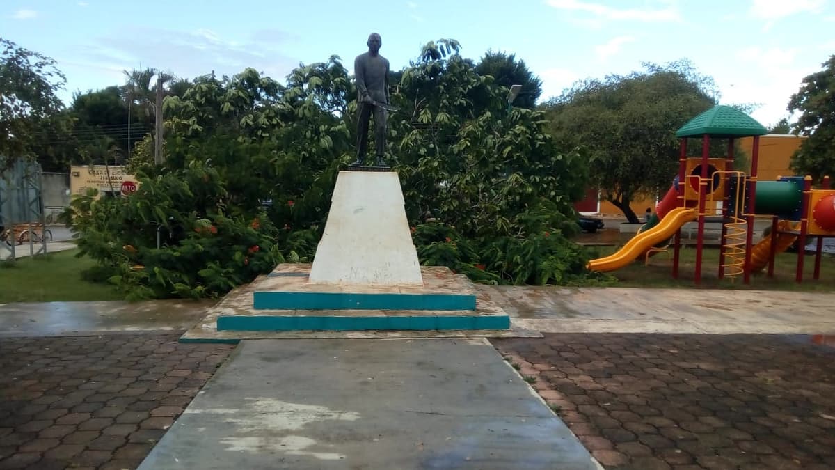 Se salva Jacinto Pat de ser aplastado por un árbol
