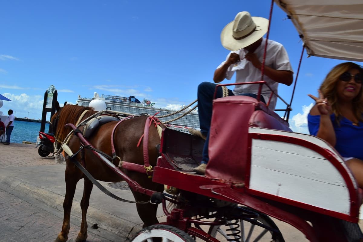 Caleseros y transportistas tendrán que hacerse antidoping en Cozumel