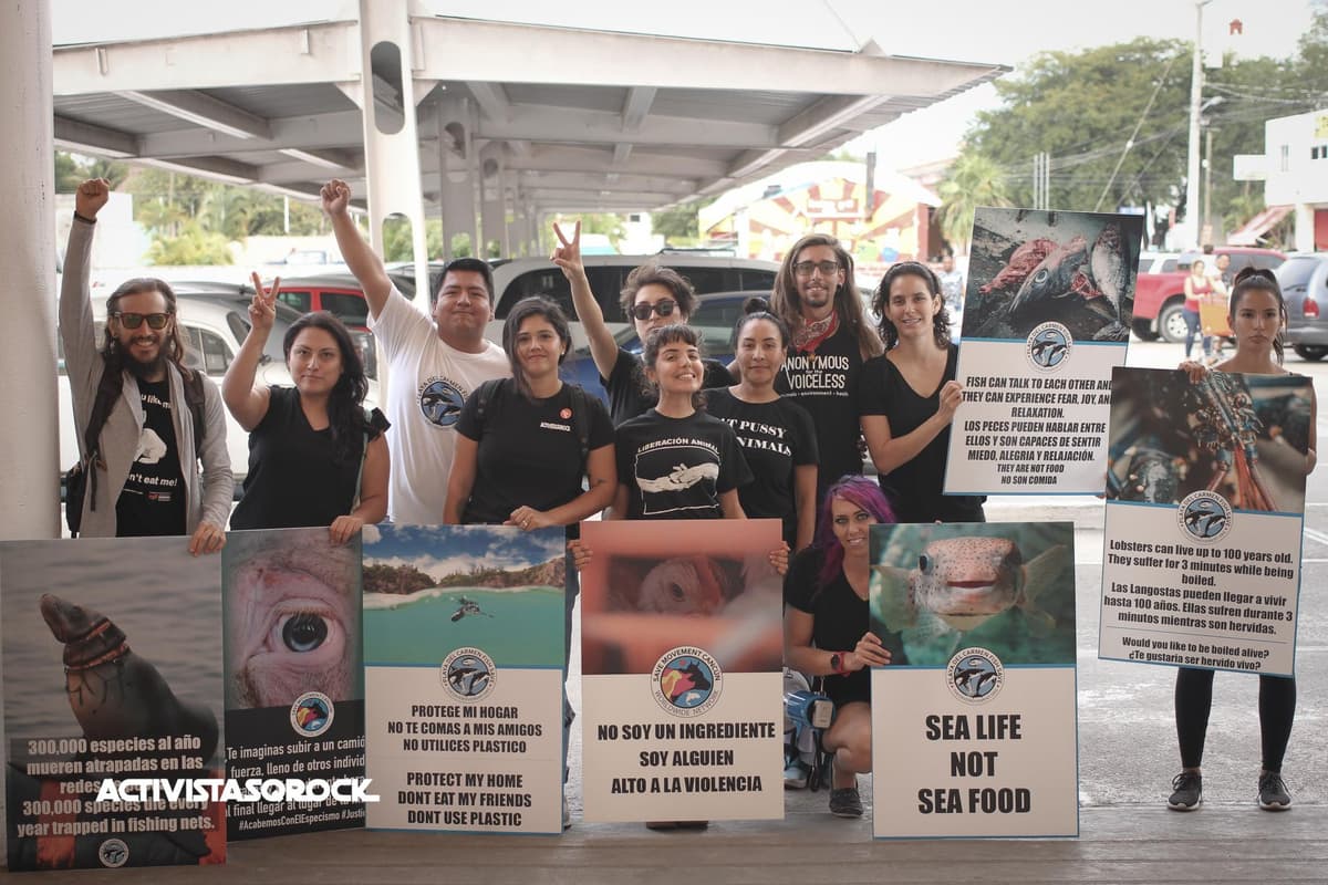 Anuncian activistasQRock protesta para frenar explotación y el consumo animal