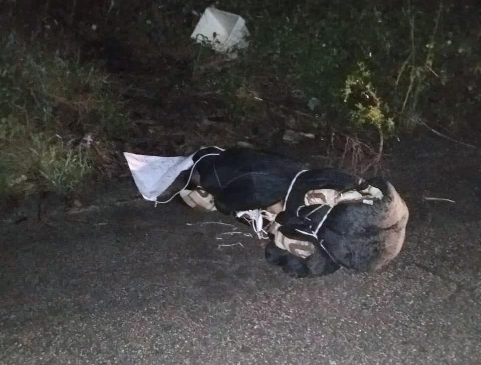 Hallan cuerpo envuelto en colchoneta en la Región 252