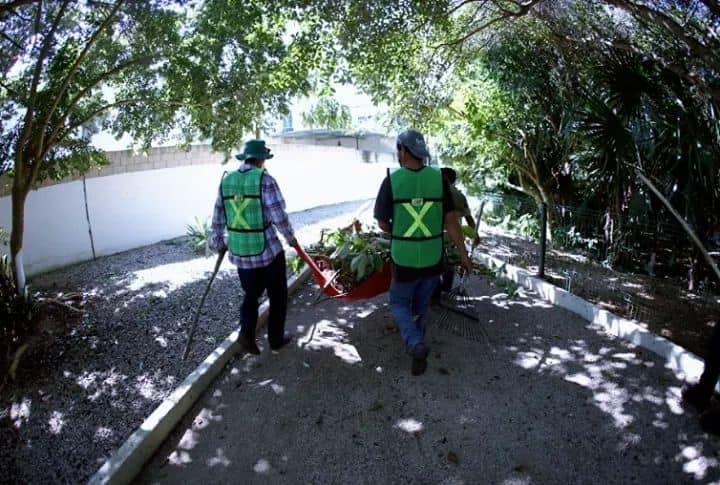 Aumenta generación de basura 40% en Playa por temporada alta