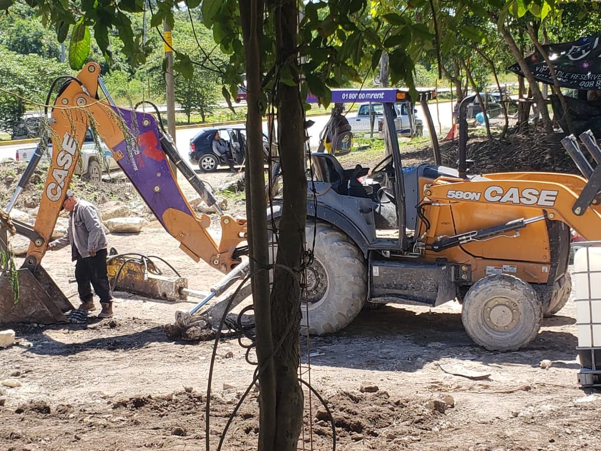 Devastan extensión de selva en bahía Petempich
