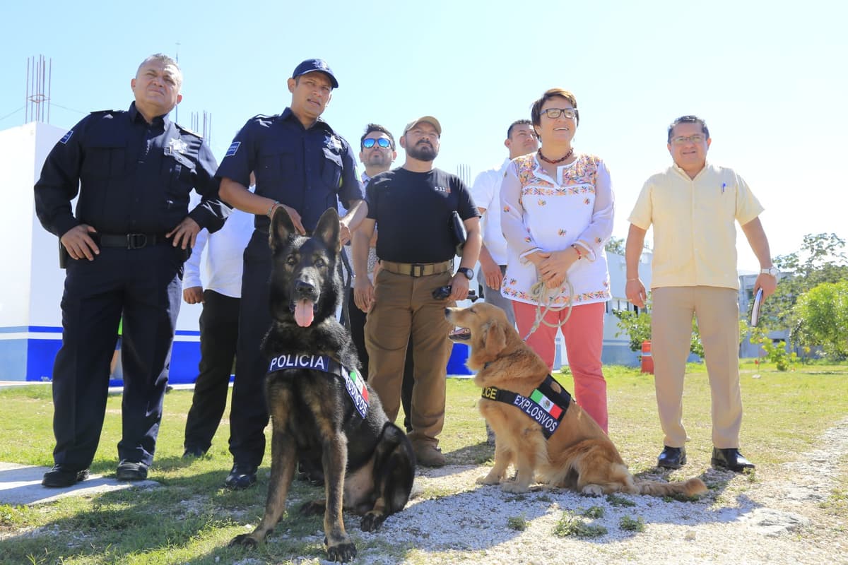 En su primer día, Unidad Canina contra narcóticos logra detención en la Quinta Avenida