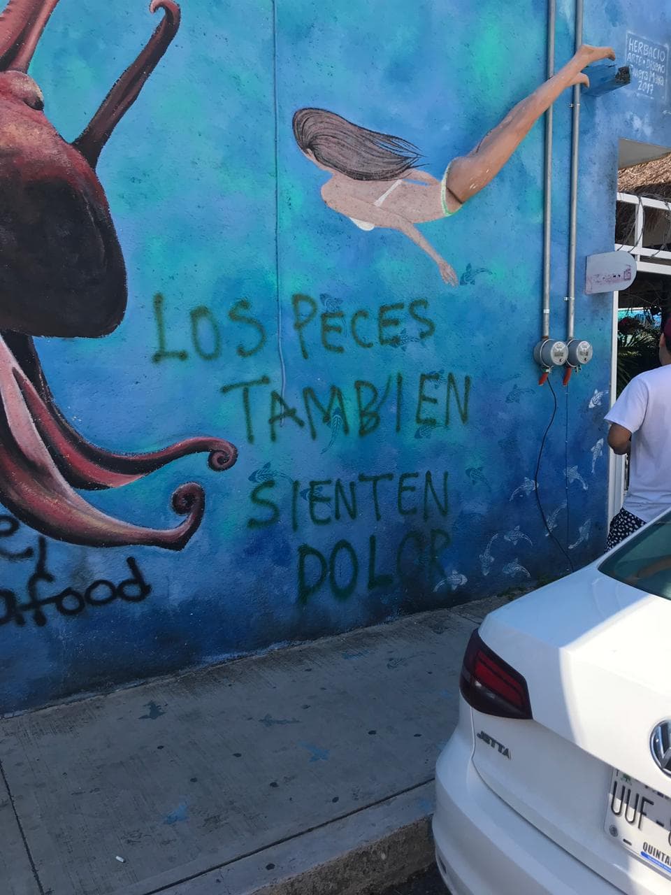 Rayan sobre mural de restaurante en Playa del Carmen con mensaje animalista