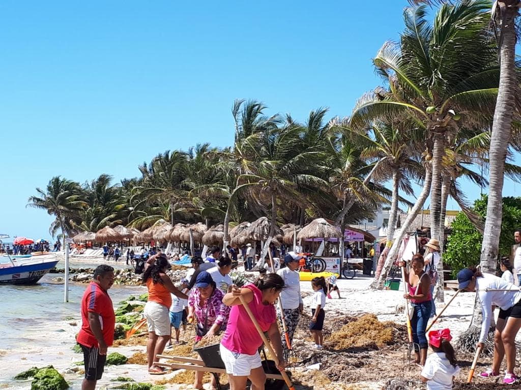 Unidos por Quintana Roo reinicia actividades contra el arribo de sargazo