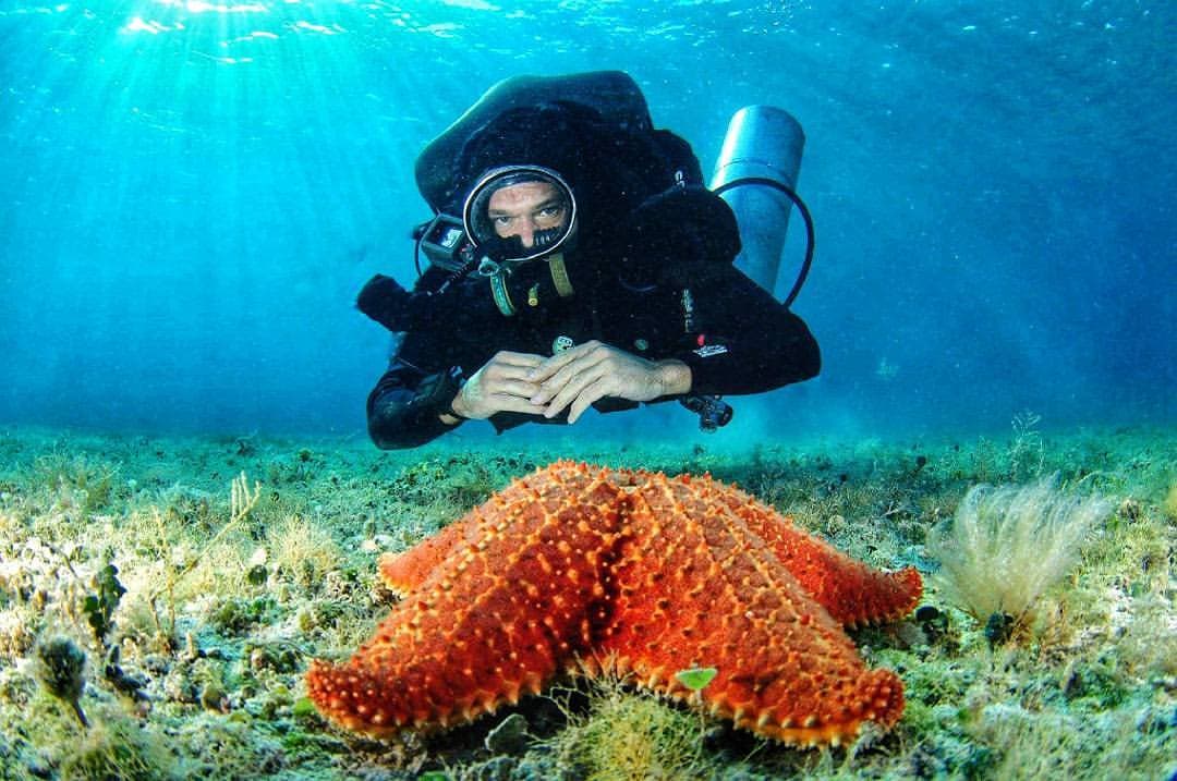 Buzo extranjero radicado en Cozumel sigue desaparecido