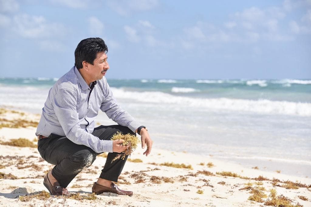 Tulum, en lucha frontal y permanente contra el sargazo