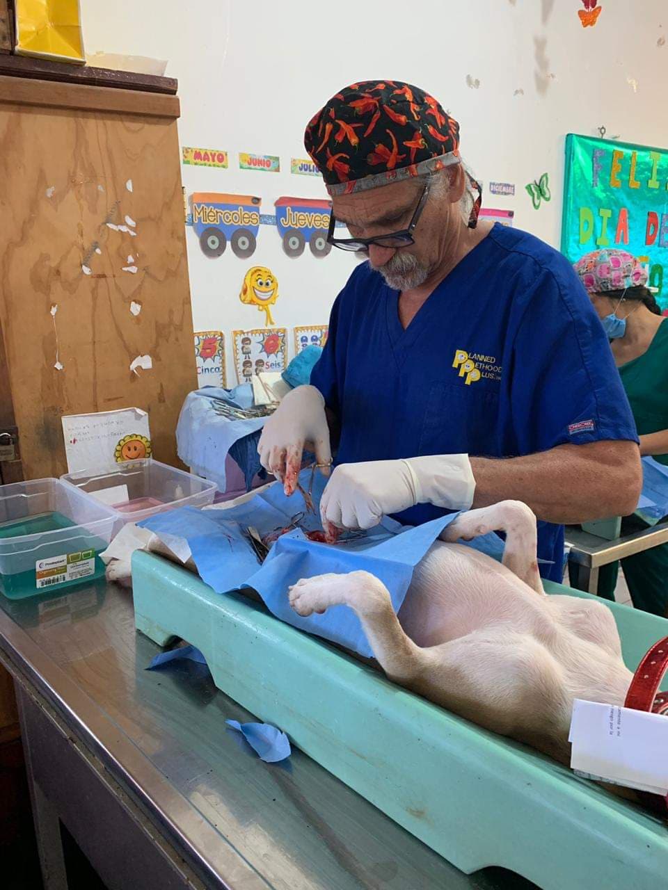 Veterinario de la Tv participó en la campaña de esterilización de Cozumel