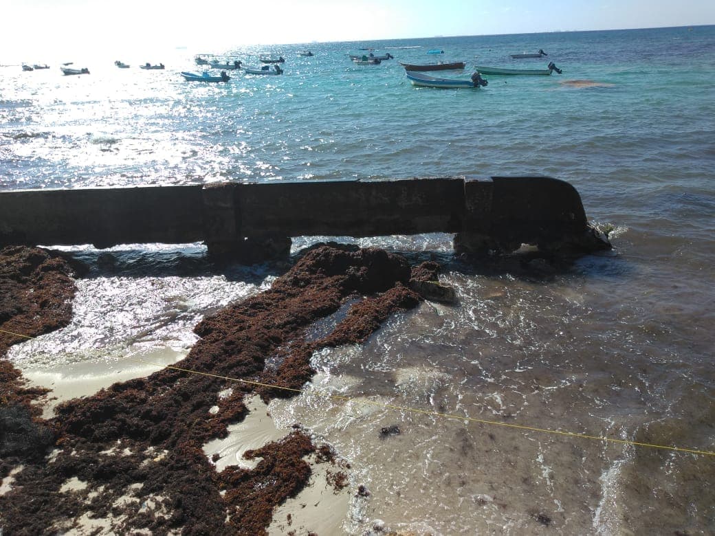 Lanzan SOS a AMLO por erosión en Playa del Carmen