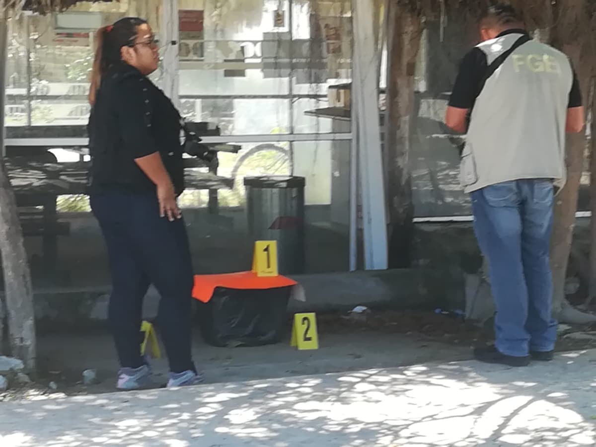 Cartulina con hielera genera movilización en Tulum