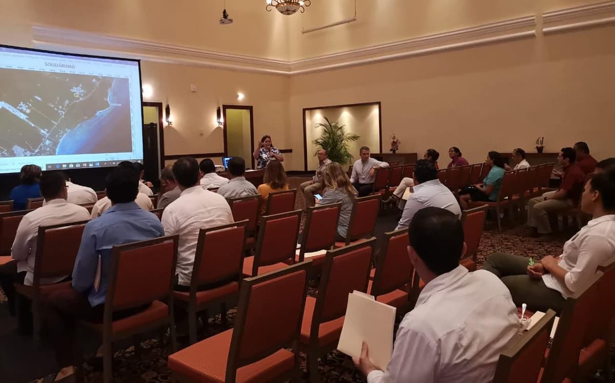 Dividen litoral estatal en 9 zonas para atender arribo atípico del sargazo