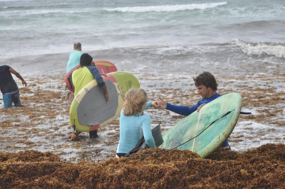 Surfistas son vencidos por las olas de sargazo