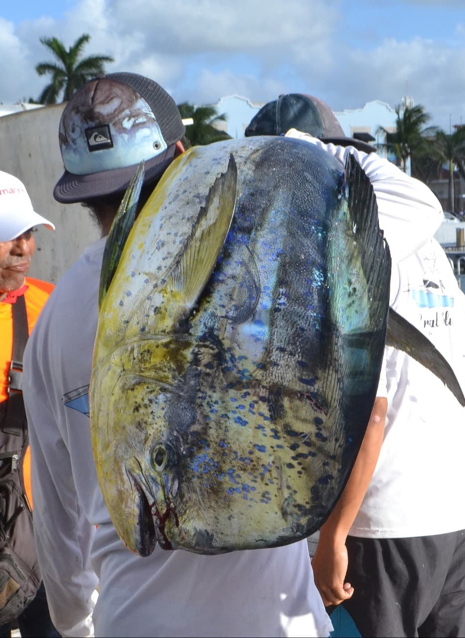 Cozumel realizará la 21 edición del torneo de pesca "Bernardo Alonso Canto"