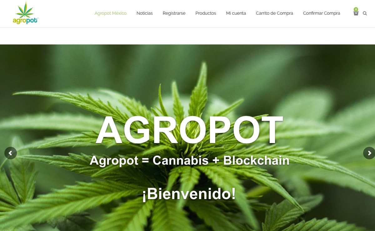 Revelan fraude del “Rey del Chile Habanero” con criptomonedas