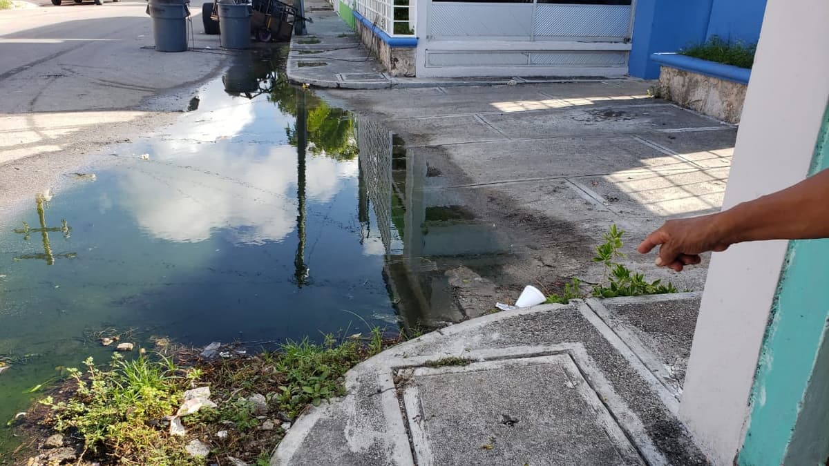 Brote de aguas negras causa problemas de salud en Cozumel