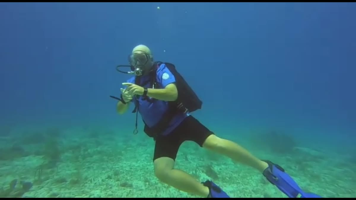 Buzo de Cozumel maltrata a los animales