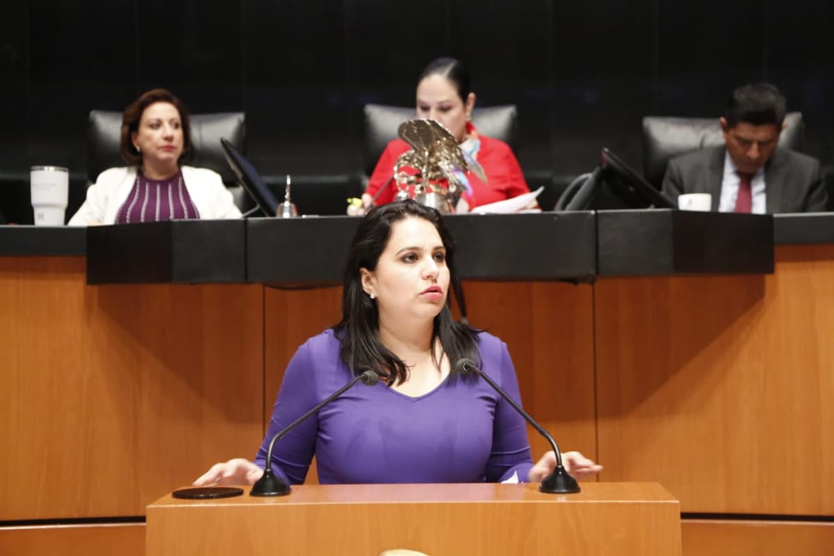 Eliminación del Seguro Popular afectará a millones de mexicanos: Mayuli Martínez