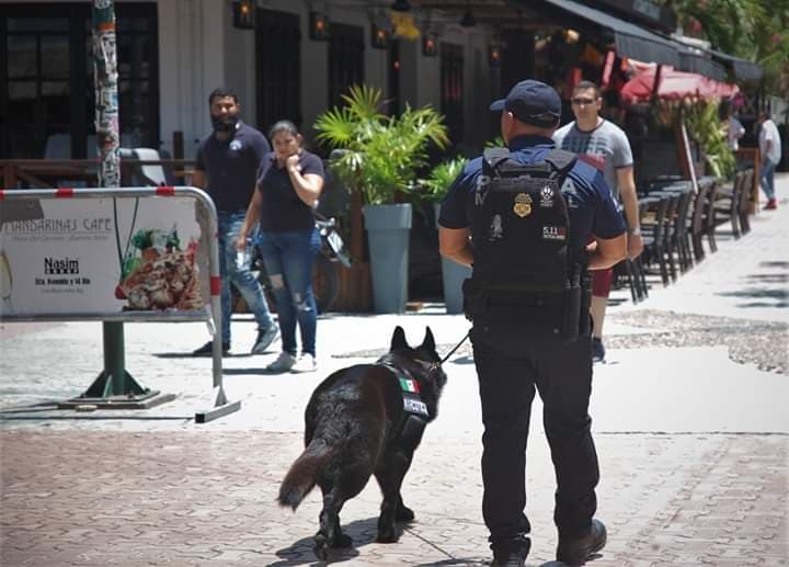 Refuerzan Seguridad Pública con mejor equipamiento de policías municipales en Solidaridad