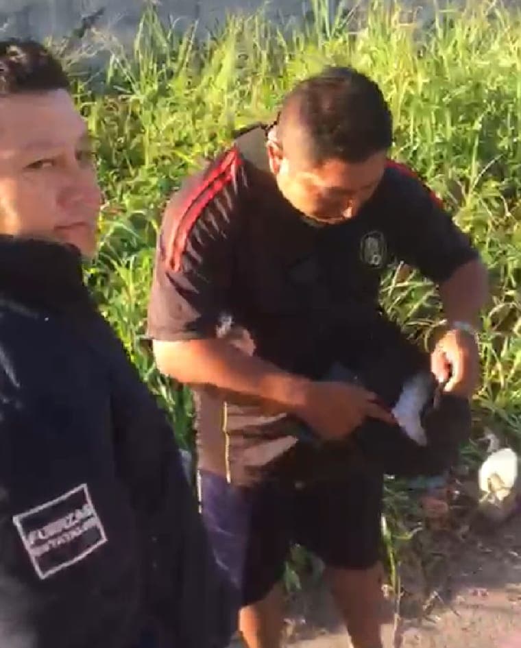 Video: Amenaza policía con arma al que atropelló a su hermano