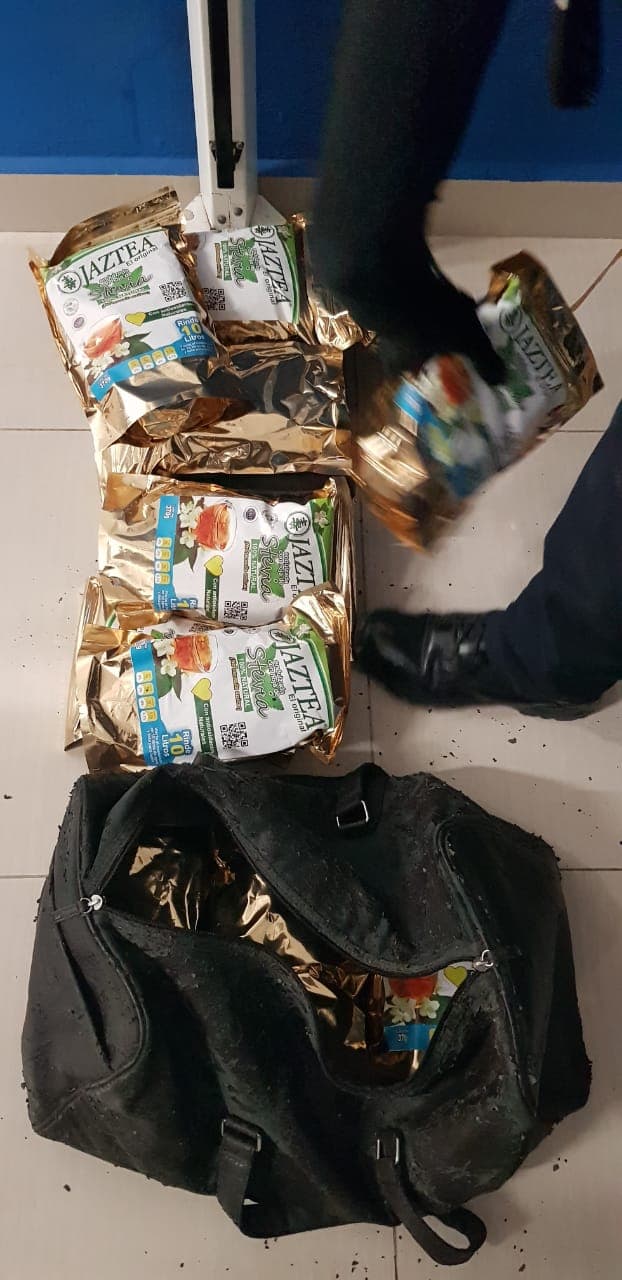 Detectan droga en maleta de pasajera en terminal de autobuses en Playa del Carmen