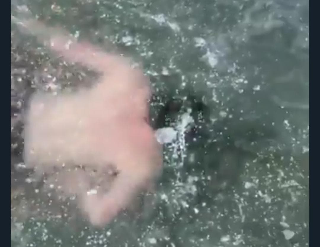 Video: Sujeto reta a la muerte al nadar en un lago congelado