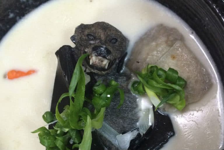 Por coronavirus, China prohíbe consumo y comercio de animales salvajes