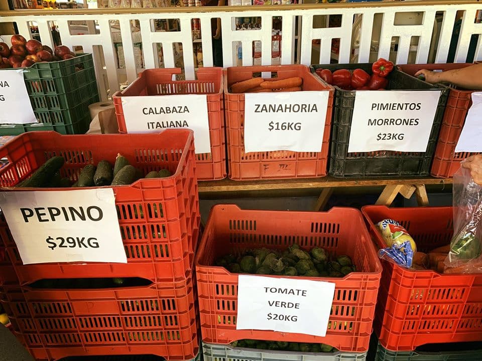 Brinda DAC Playa del Carmen apoyo durante la contingencia por coronavirus