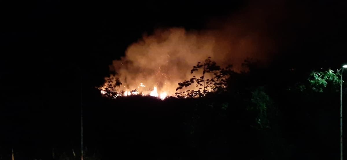 Se incendian dos hectáreas de selva en Chetumal