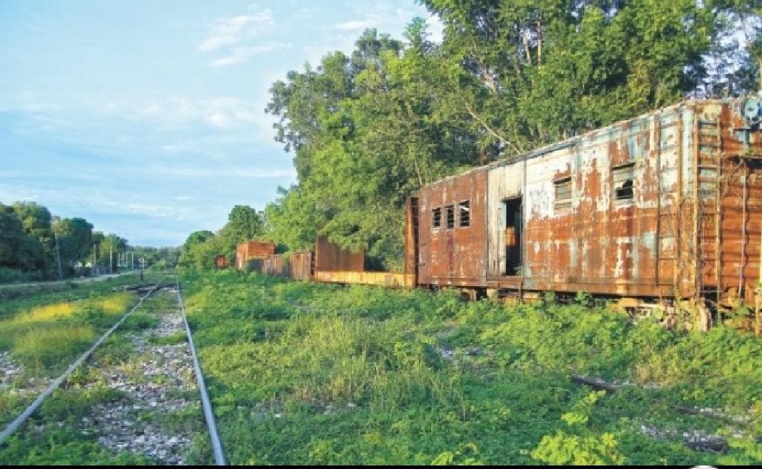 Acusan a Conacyt de haber ocultado informe que critica al Tren Maya