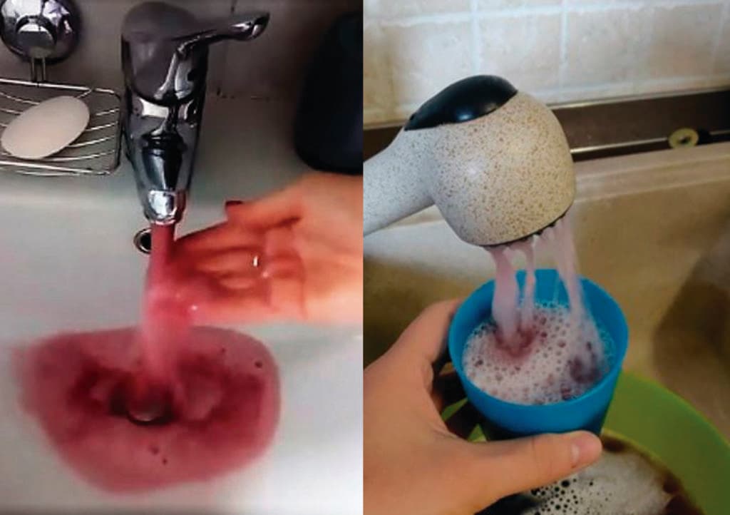 Video: ¡Sale vino en lugar de agua de las llaves! por insólito error