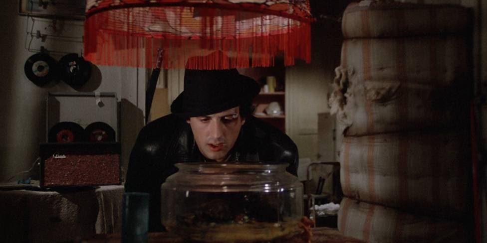 Sylvester Stallone aún conserva a las dos tortugas de Rocky y ¡ya tienen 44 años!