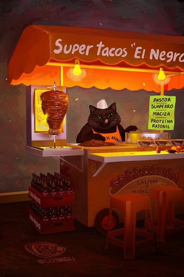 Galería: Conoce el mundo donde dominan los gatos gracias a Coendú MC