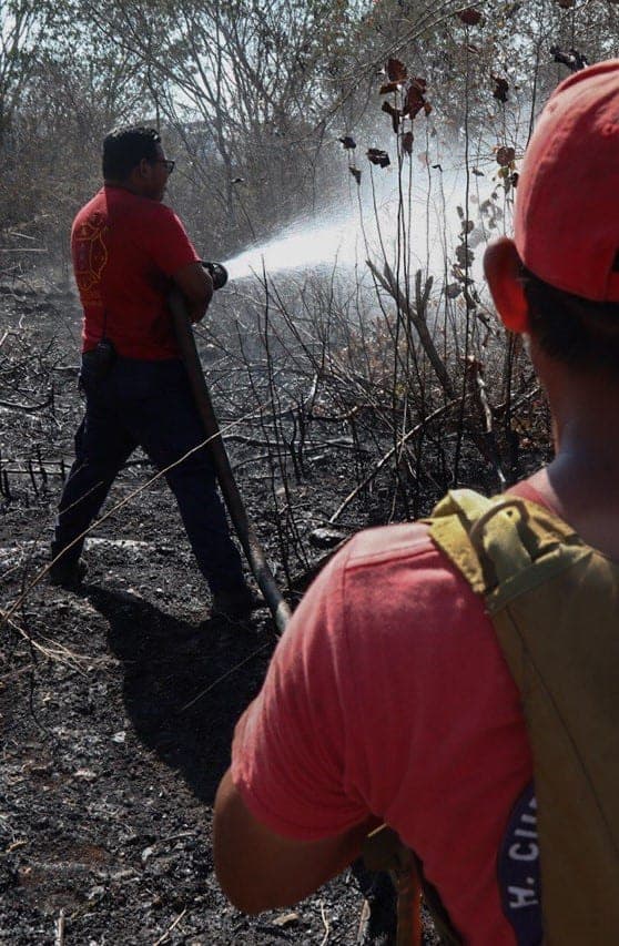 En un mes, incendios han afectado cerca de 70 hectáreas en Puerto Morelos