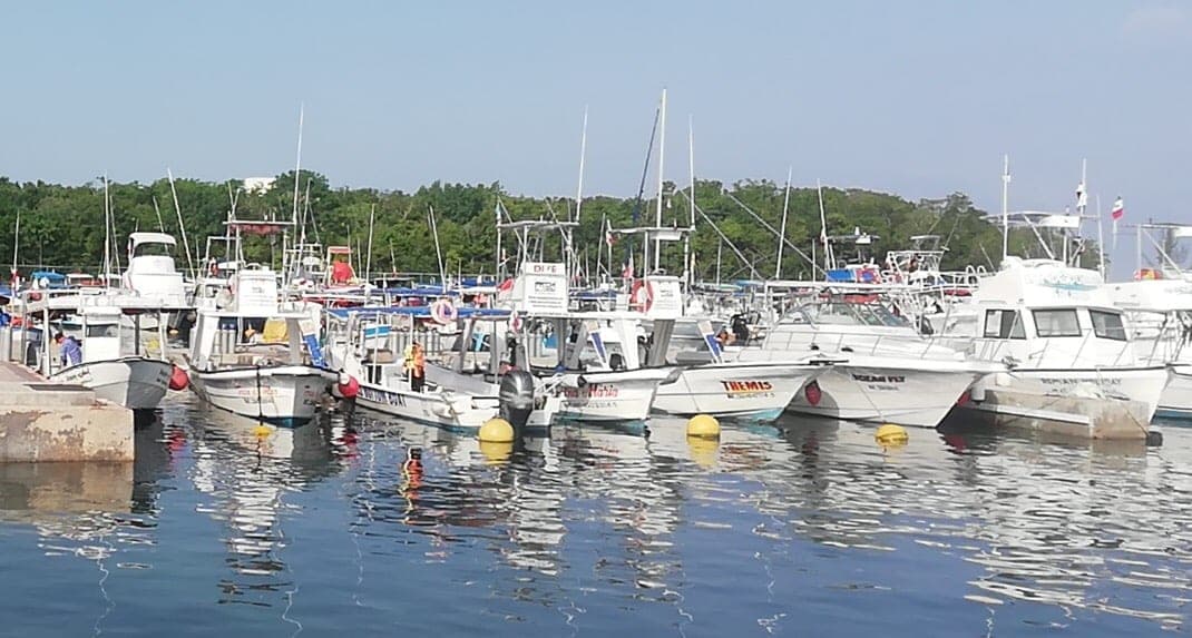 Exige Apiqroo pago a náuticos en Cozumel que no tienen dinero por la crisis derivada del Covid