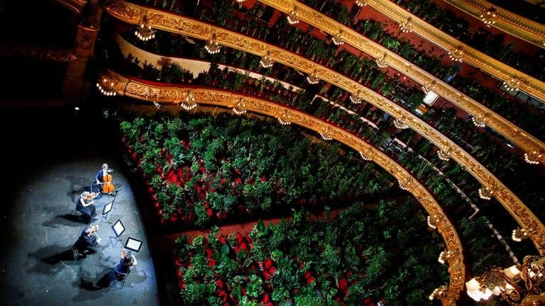 Video: ¡Insólito! El teatro más importante de Barcelona da concierto para más de 2 mil plantas