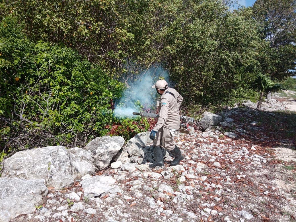 Realizan fumingación en más de 240 hectáreas en Solidaridad