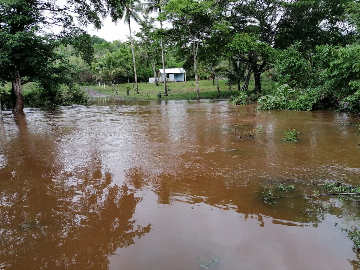 Escurrimientos causan pérdidas materiales en zona limítrofe