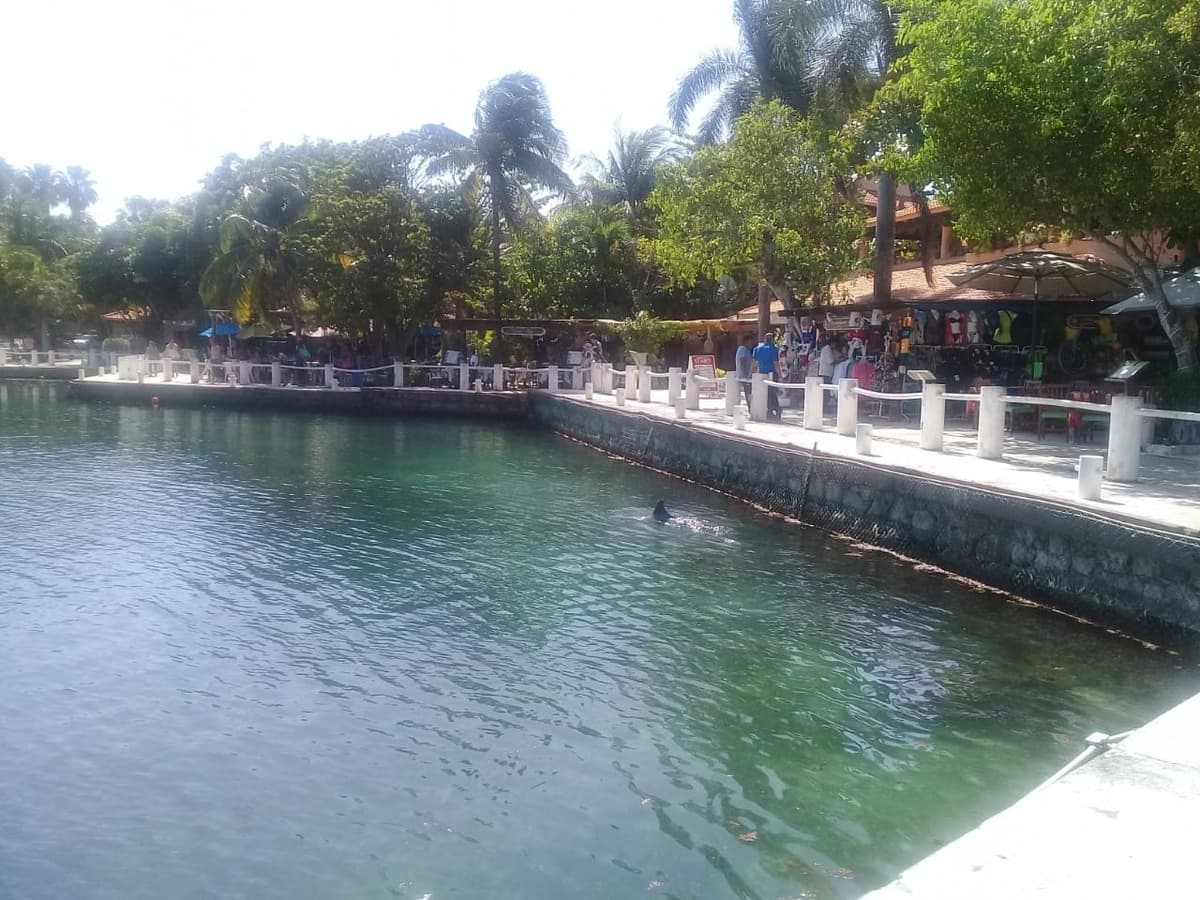 Restaurantes de Puerto Aventuras registran pocas ventas por culpa de la Seguridad Privada