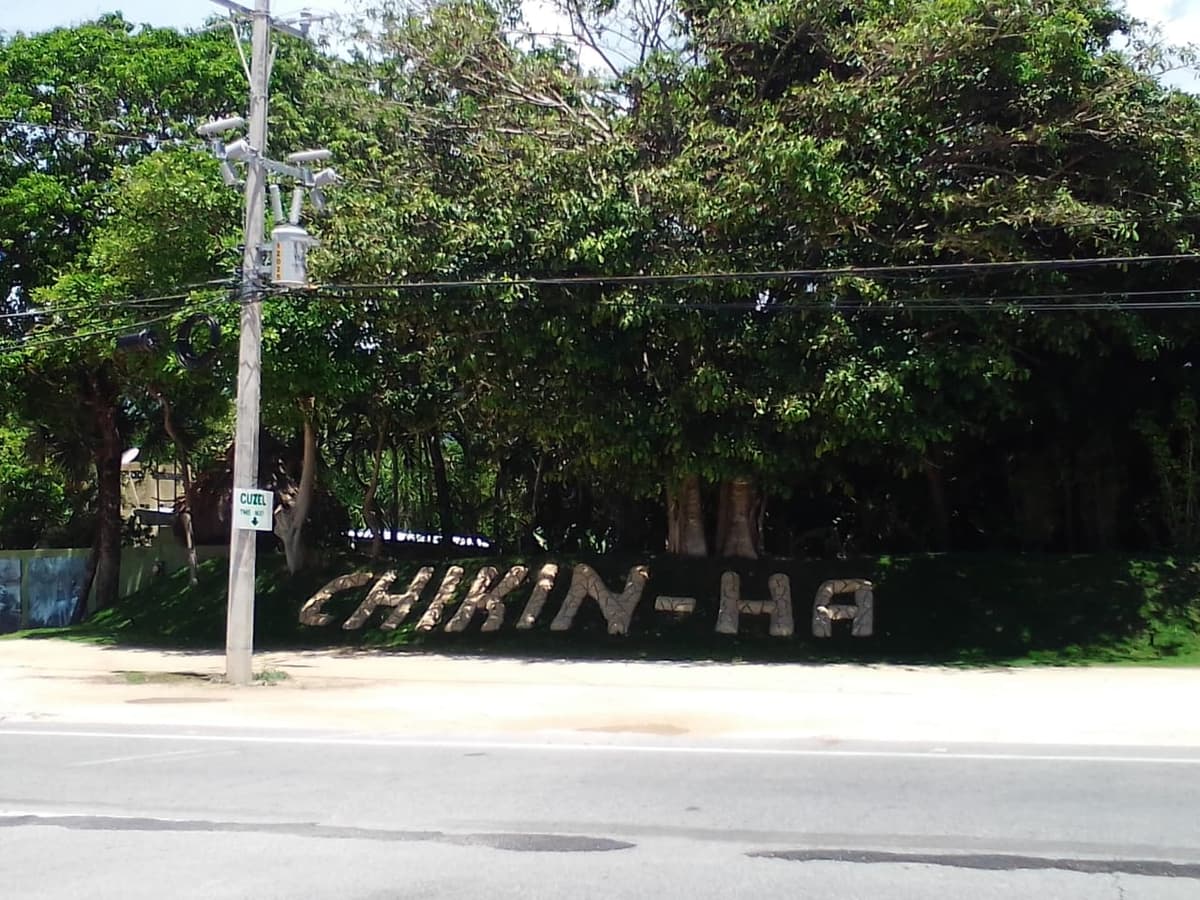 Cenotes de Puerto Aventuras en riesgo de contaminación por asentamientos irregulares